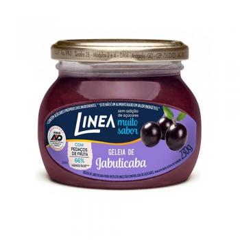 xx_geleia-jabuticaba-linea-12x230g-01b819b7c48ba5ef54a83ed4d64cbefd.jpg